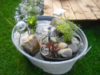 CIMG0157.webp