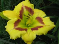 IMG_albert 14-08_1024x768.webp
