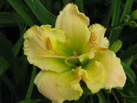 IMG_albert 18_1024x768.webp