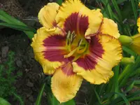 IMG_albert 240-1_1024x768.webp