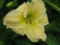 IMG_anja 2_1024x768.webp