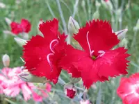 IMG_6956_1024x768.webp