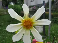 IMG_6915_1024x768.webp