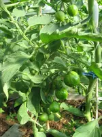 k-IMG_3064.webp