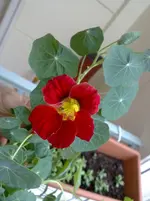 04072010764.webp