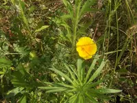 HPIM4994.webp