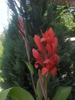 HPIM4986.webp