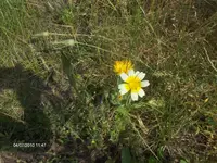 HPIM4993.webp