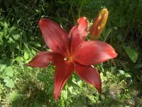 HPIM4987.webp