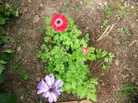 DSCF3653.webp