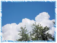 IMG_2455.webp