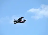 DSC07431.webp