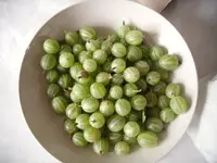stac.webp