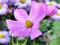 DSC07558.webp