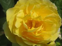 028.webp
