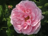 021.webp