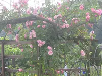 045.webp