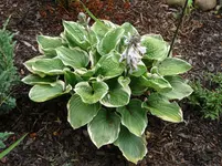 P1030716 [50%].webp