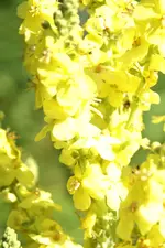 DSC02704 [50%].webp