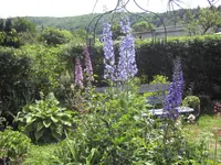019.webp