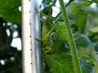 DSC07469.webp