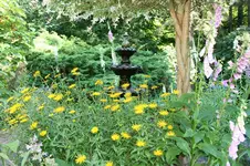 IMG_2120 - Kopie.webp