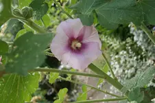 DSC03350.webp