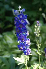DSC02705.webp