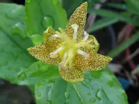 IMG_6968_1024x768.webp