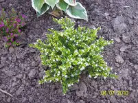 Mythe.webp
