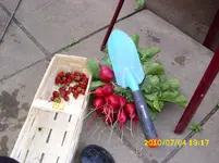DSCI0657.webp