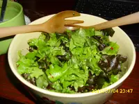 DSCI0663.webp