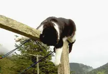 Juni 2010 578.webp