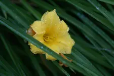 DSC02727 [50%].webp