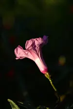 IMG_3726.webp