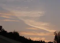 P1040328.webp