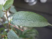 DSCN1906.webp
