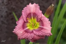 blog_9565-snt.webp