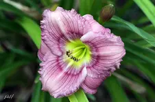 blog_9588-obl.webp