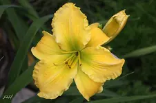 blog_9571-molokai.webp