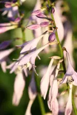 IMG_3730.webp