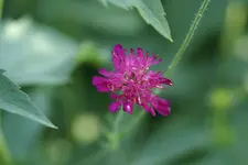 DSC02736.webp