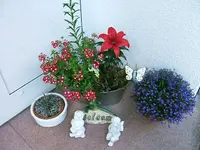 28164.webp