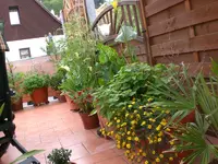 adchgarten Juli10 002.webp