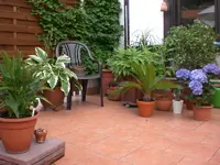 adchgarten Juli10 010.webp