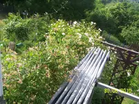 100_2548.webp