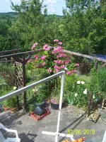 100_2549.webp