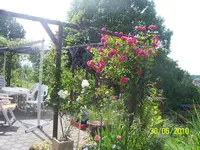 100_2550.webp