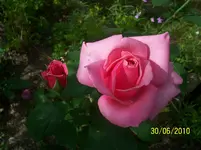 100_2551.webp