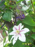 100_2552.webp